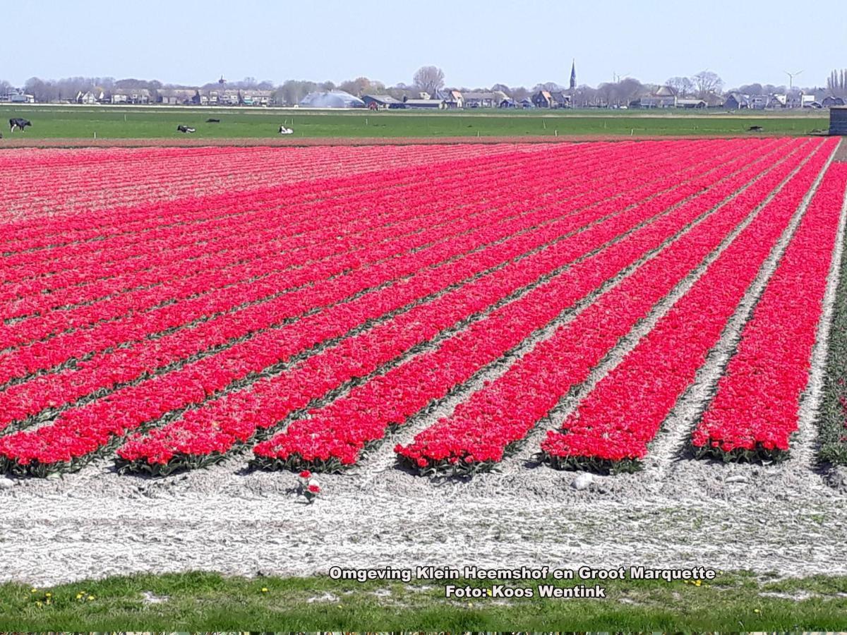 Klein Heemshof - Noord Holland Aan Uw Voeten Warmenhuizen Eksteriør billede