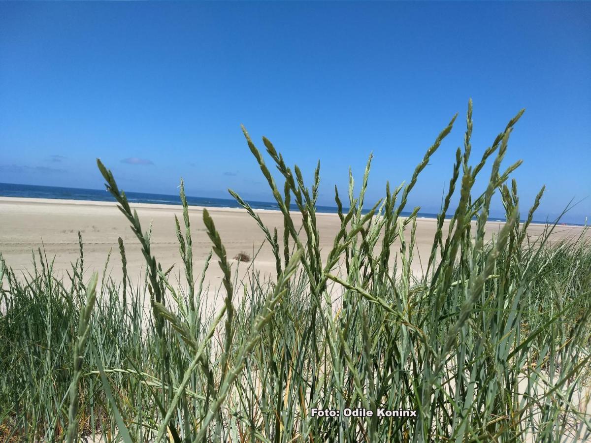 Klein Heemshof - Noord Holland Aan Uw Voeten Warmenhuizen Eksteriør billede